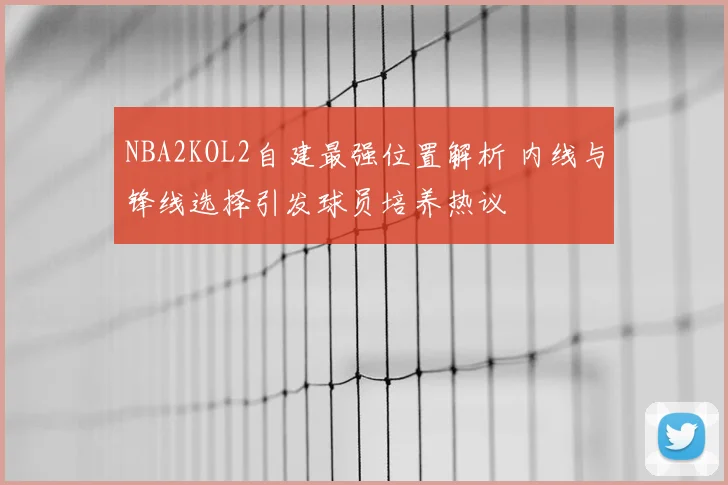 NBA2KOL2自建最强位置解析 内线与锋线选择引发球员培养热议