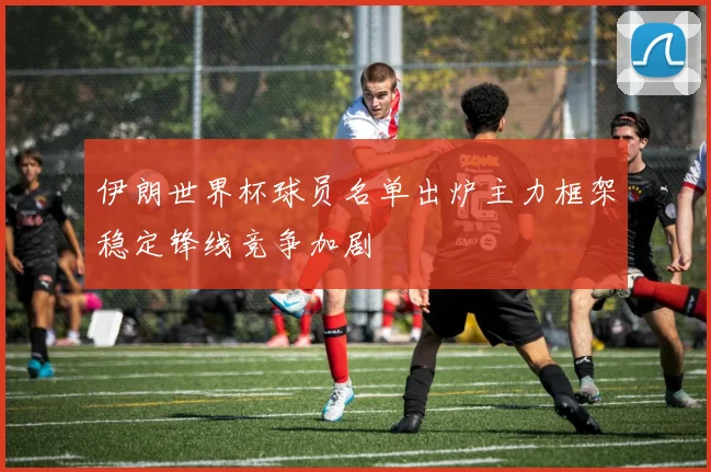 伊朗世界杯球员名单出炉主力框架稳定锋线竞争加剧